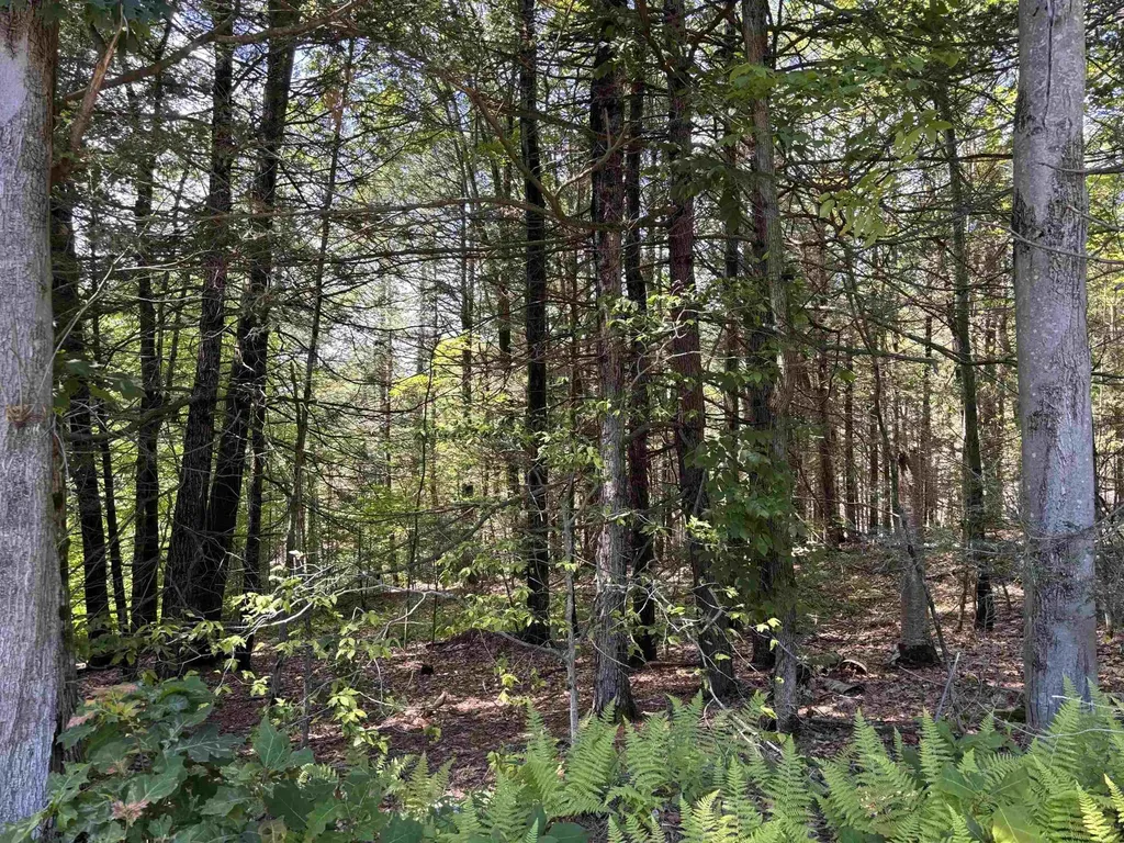 M13 L3 Tower Hill Road Hinsdale NH 03451