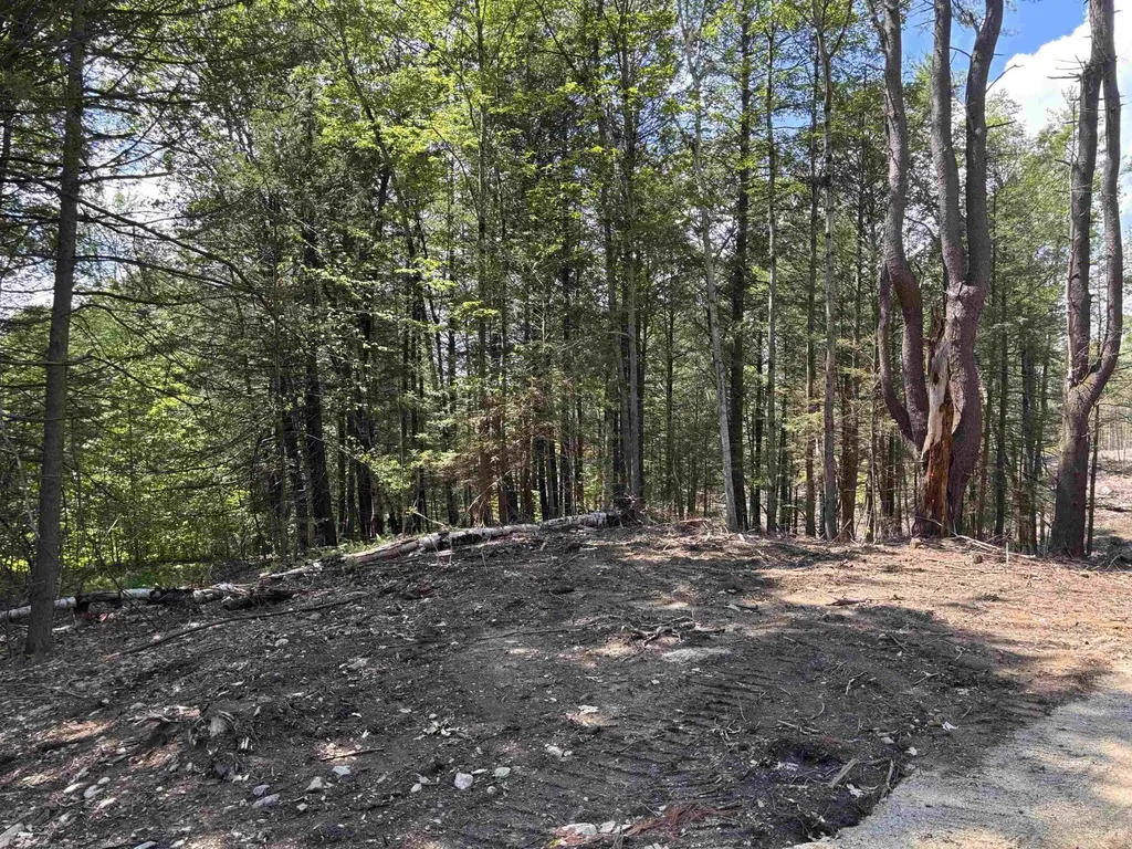 M13 L3 Tower Hill Road Hinsdale NH 03451