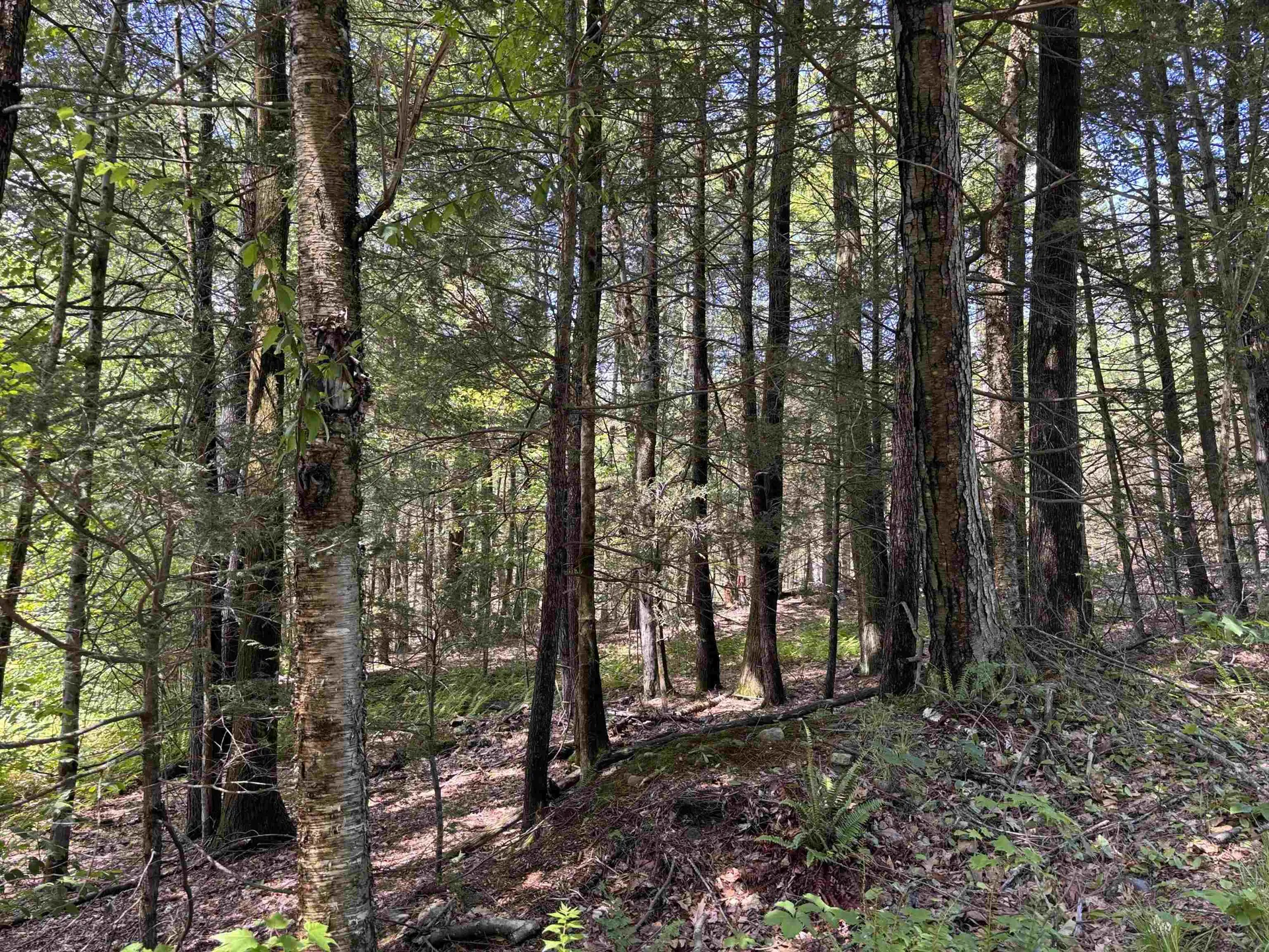 M13 L3 Tower Hill Road Hinsdale NH 03451