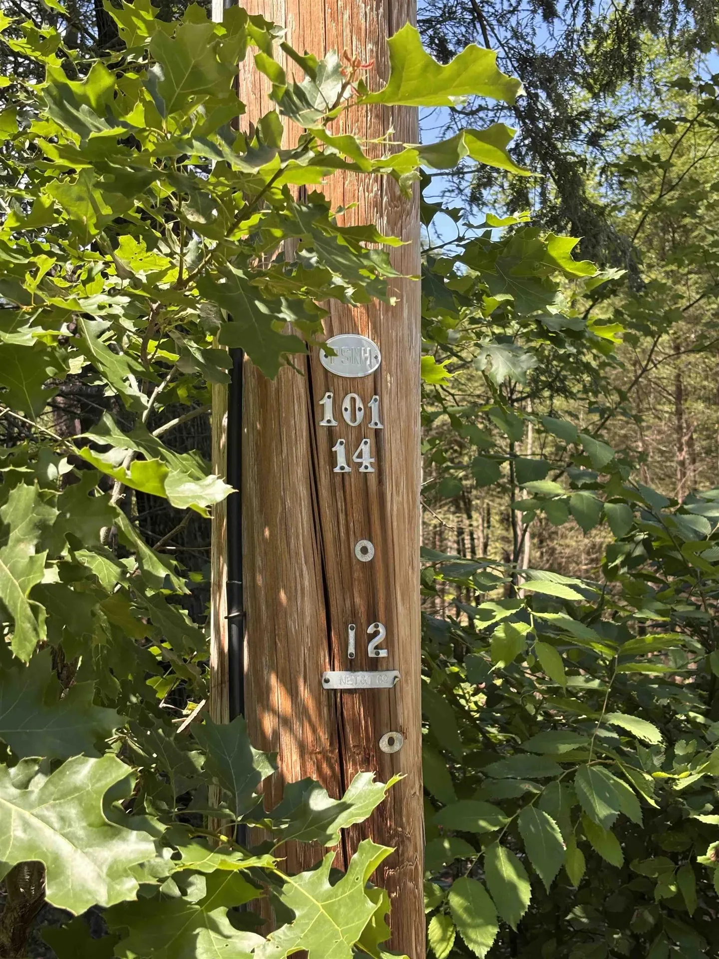 M13 L3 Tower Hill Road Hinsdale NH 03451