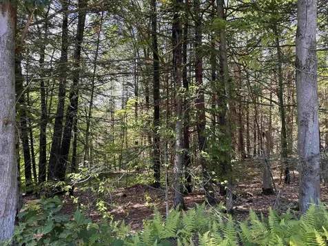 M13 L3 Tower Hill Road Hinsdale NH 03451