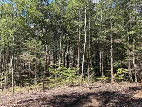 M13 L3 Tower Hill Road Hinsdale NH 03451