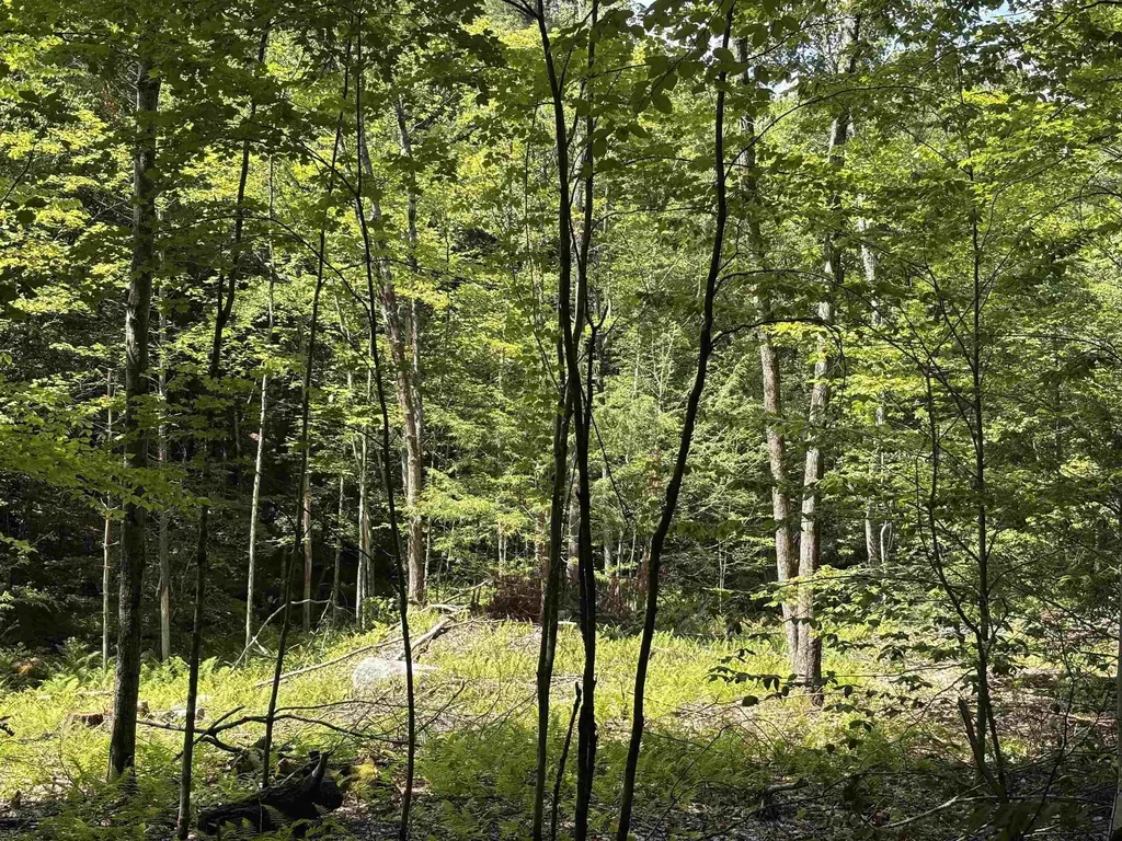 Lot 1&2 Tower Hill Road Hinsdale NH 03451