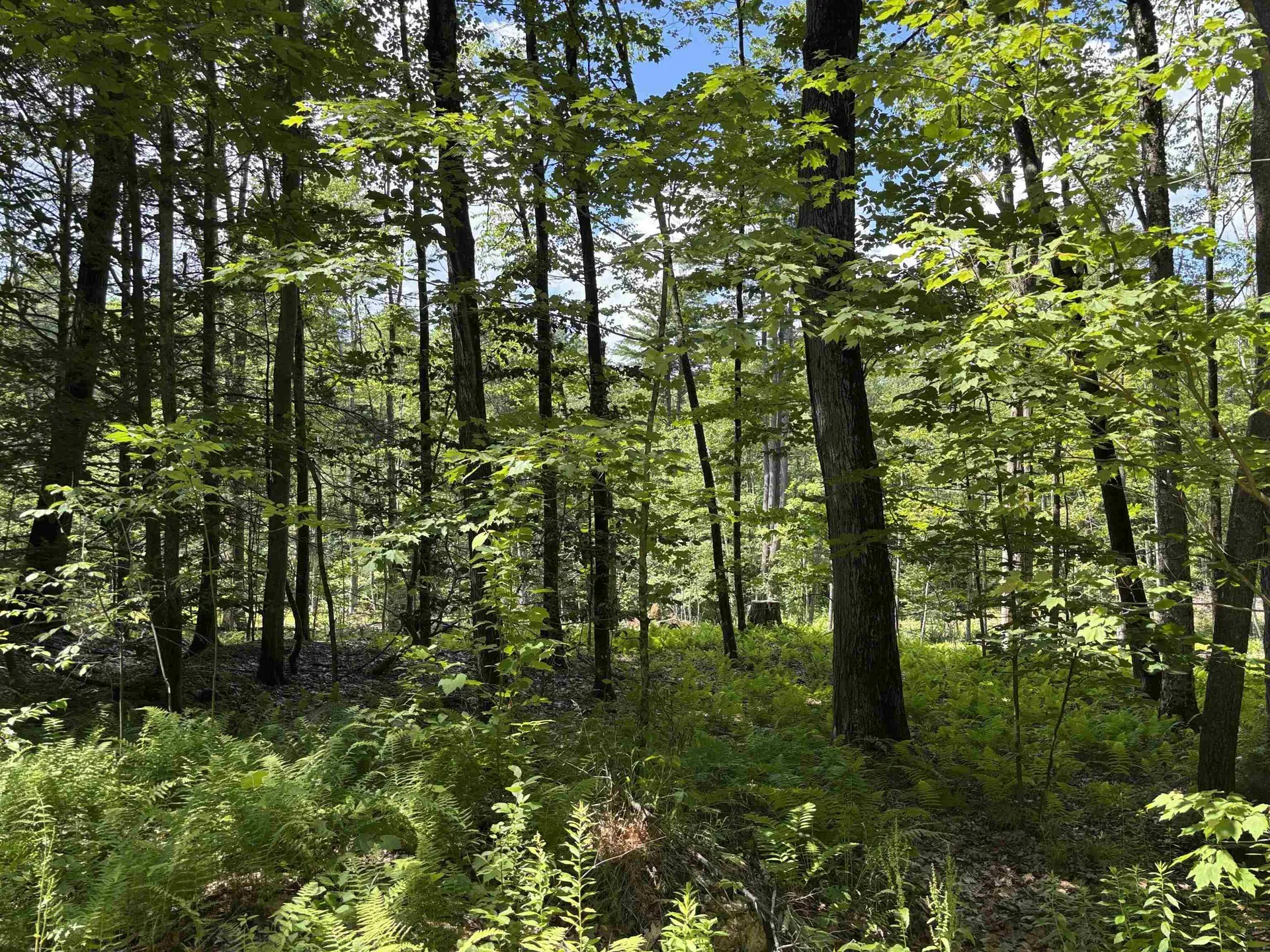 Lot 1&2 Tower Hill Road Hinsdale NH 03451