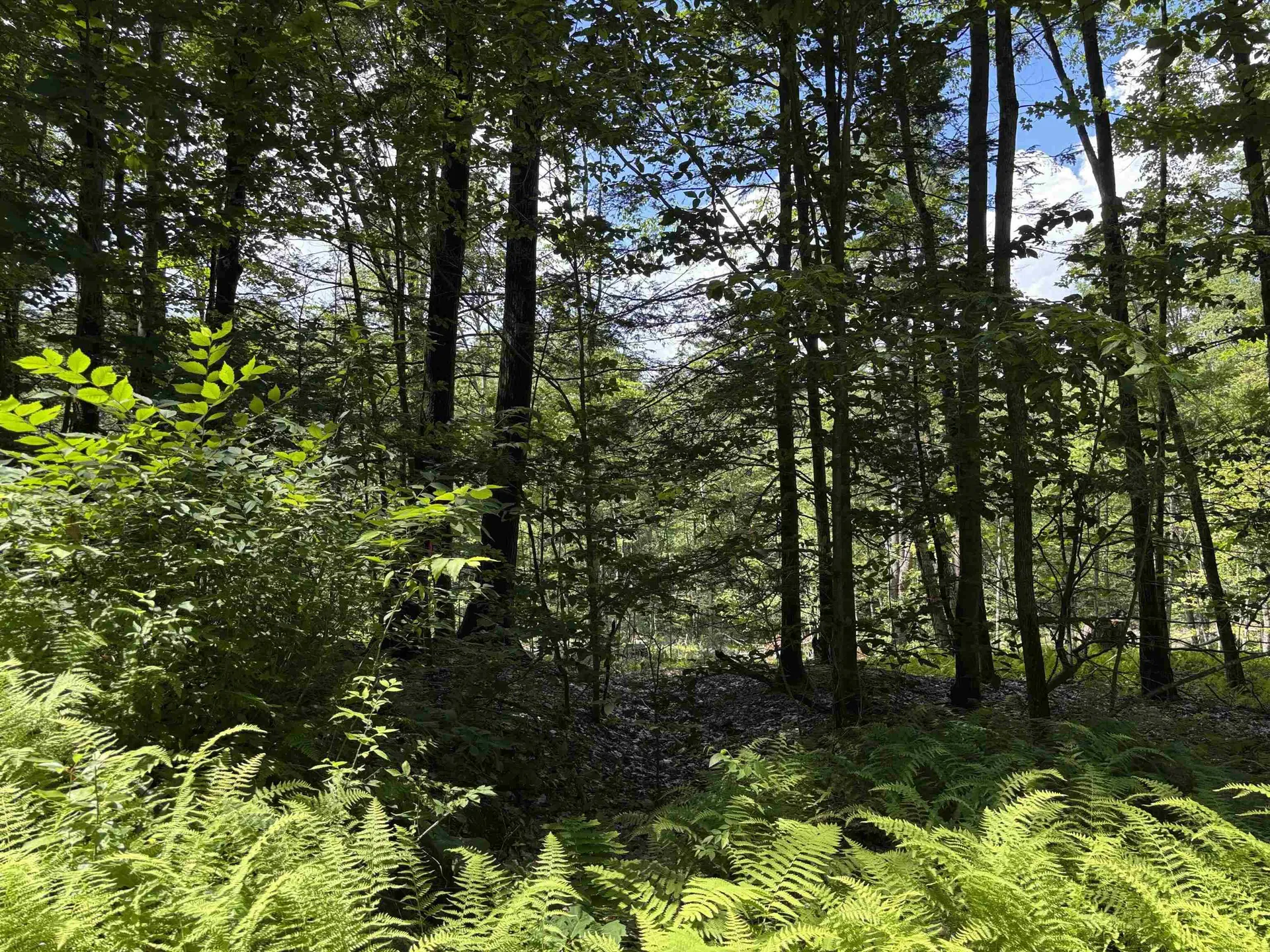 Lot 1&2 Tower Hill Road Hinsdale NH 03451