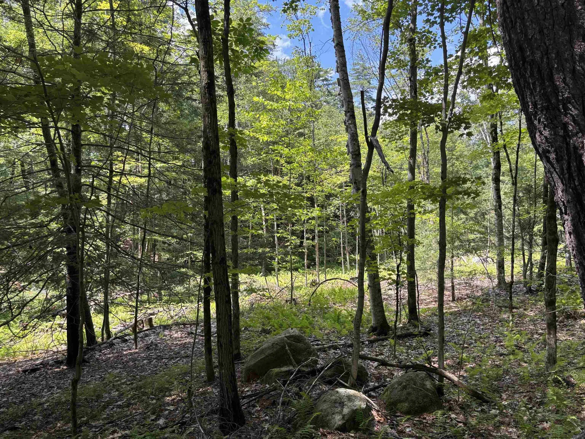 Lot 1&2 Tower Hill Road Hinsdale NH 03451