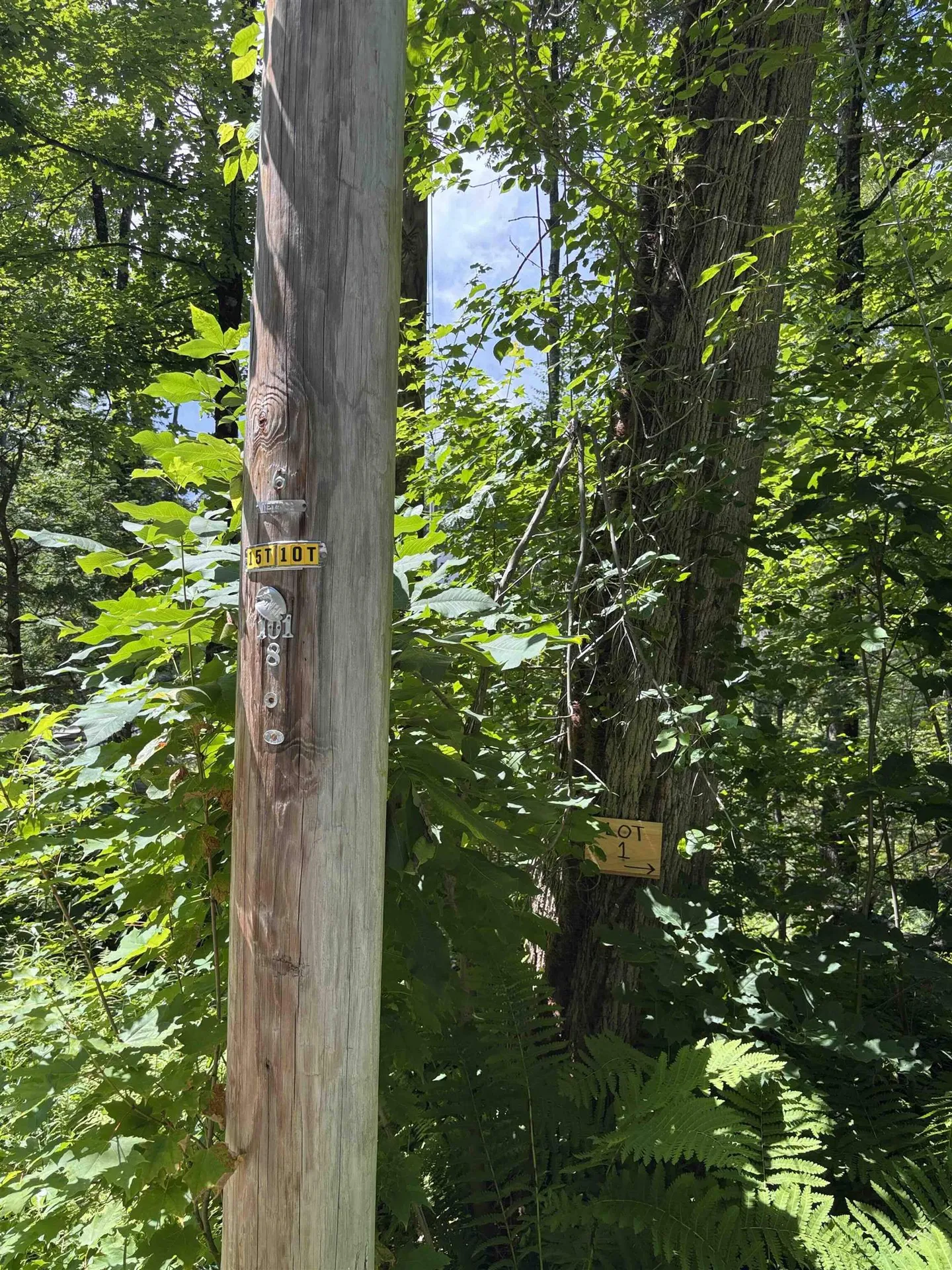 Lot 1&2 Tower Hill Road Hinsdale NH 03451
