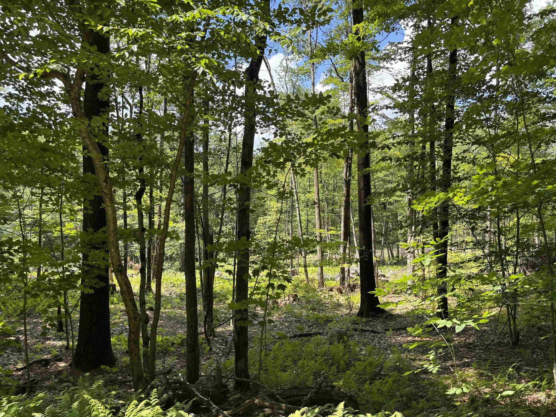 Lot 1&2 Tower Hill Road Hinsdale NH 03451