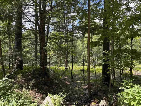 Lot 1&2 Tower Hill Road Hinsdale NH 03451