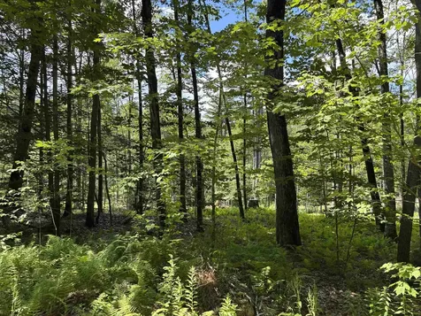 Lot 1&2 Tower Hill Road Hinsdale NH 03451