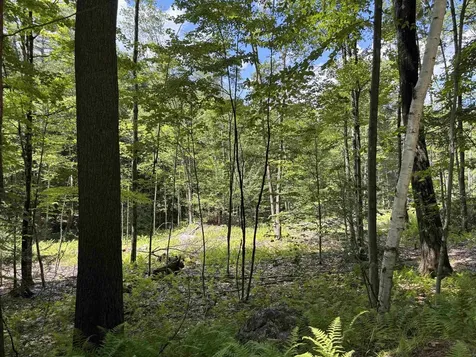 Lot 1&2 Tower Hill Road Hinsdale NH 03451
