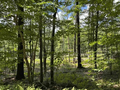 Lot 1&2 Tower Hill Road Hinsdale NH 03451