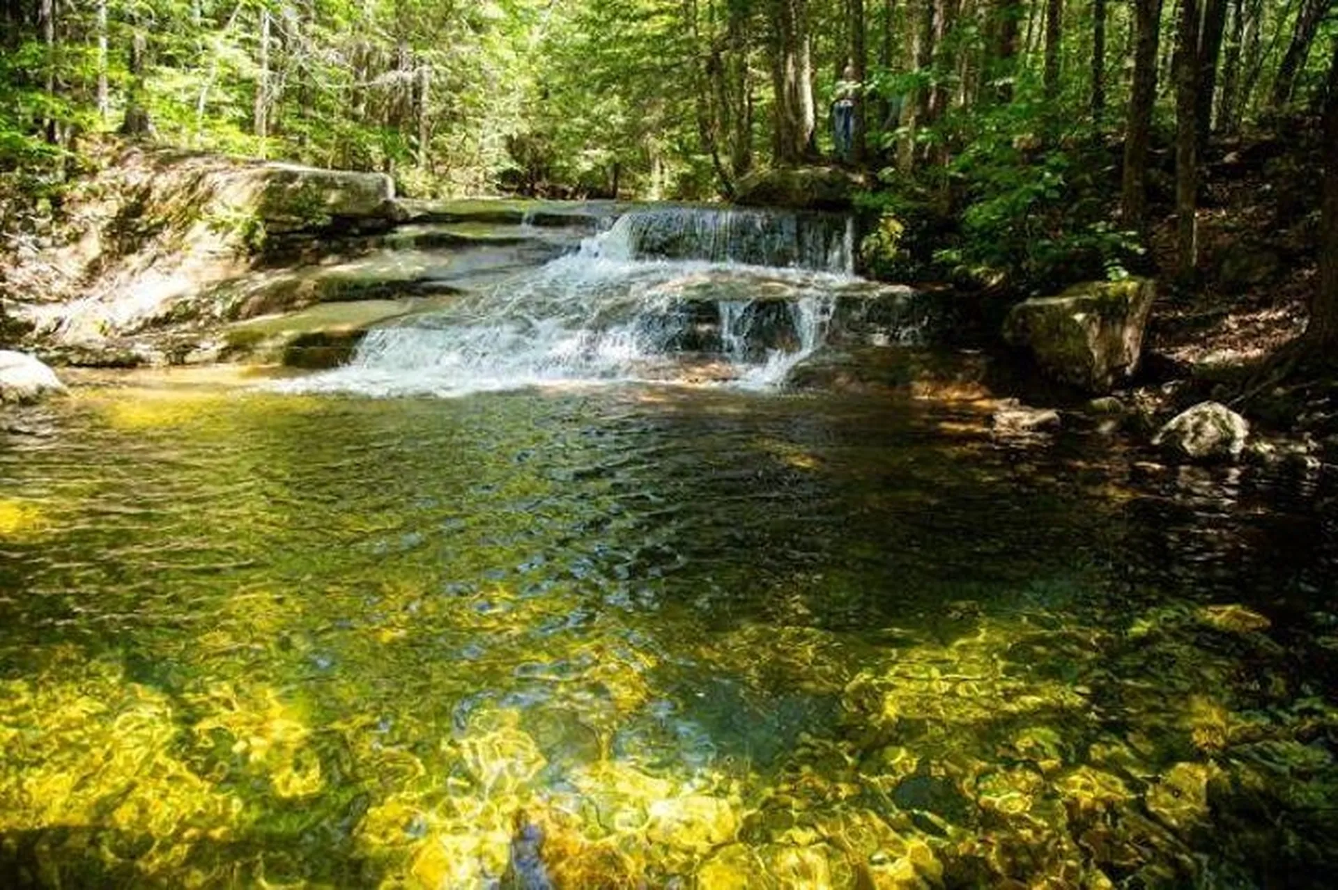 20 Condo Road Campton NH 03223