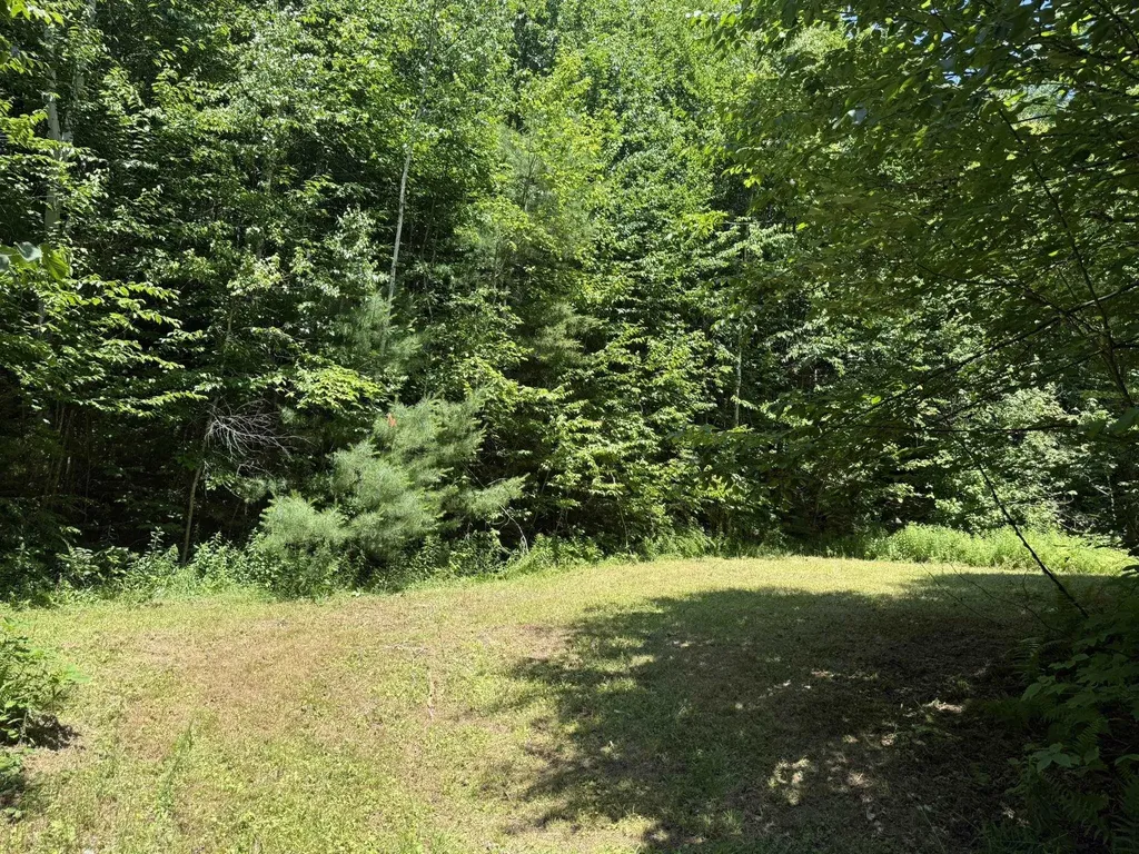 7657 Vt Route 14 Woodbury VT 05681