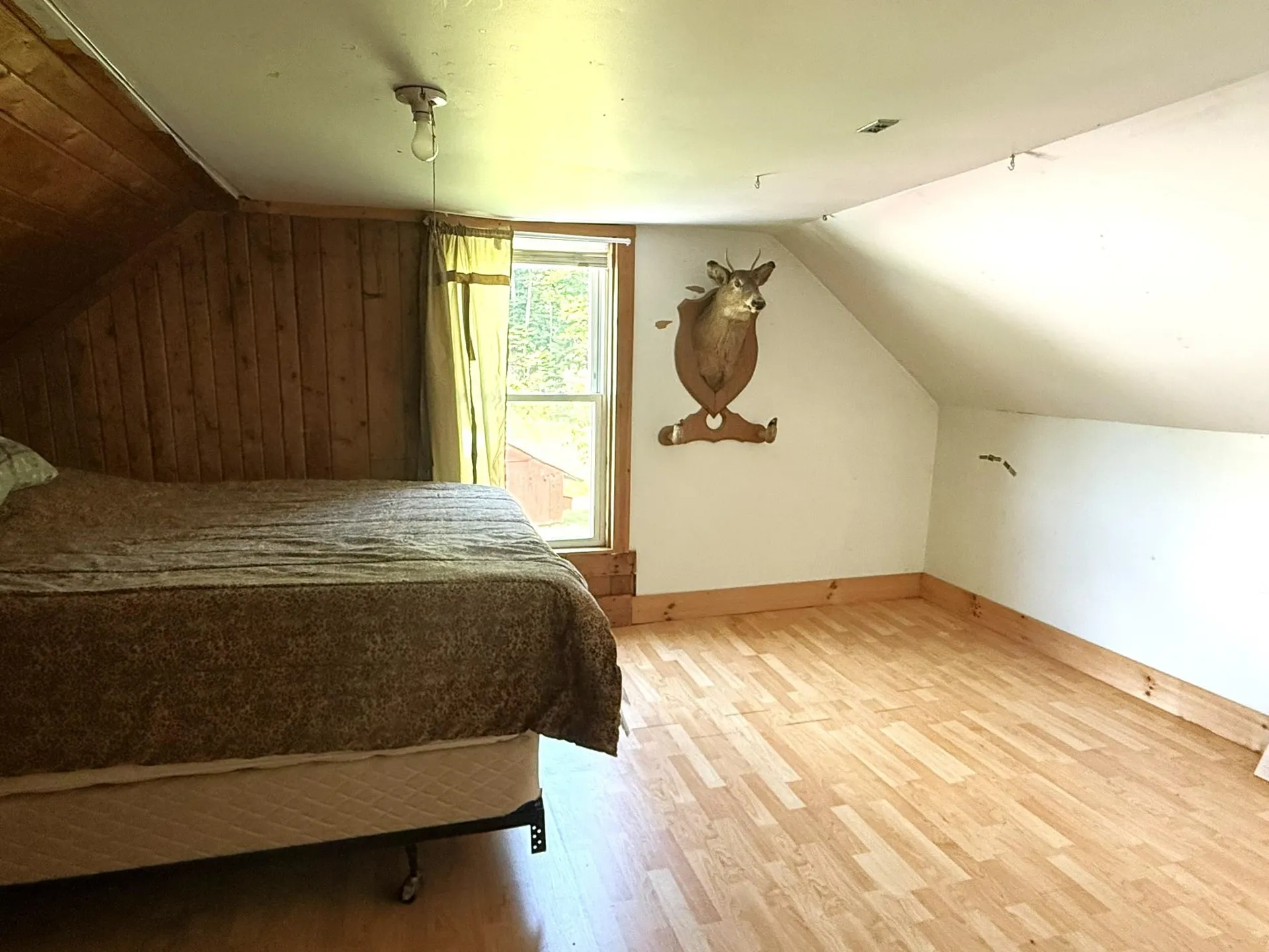 7657 Vt Route 14 Woodbury VT 05681