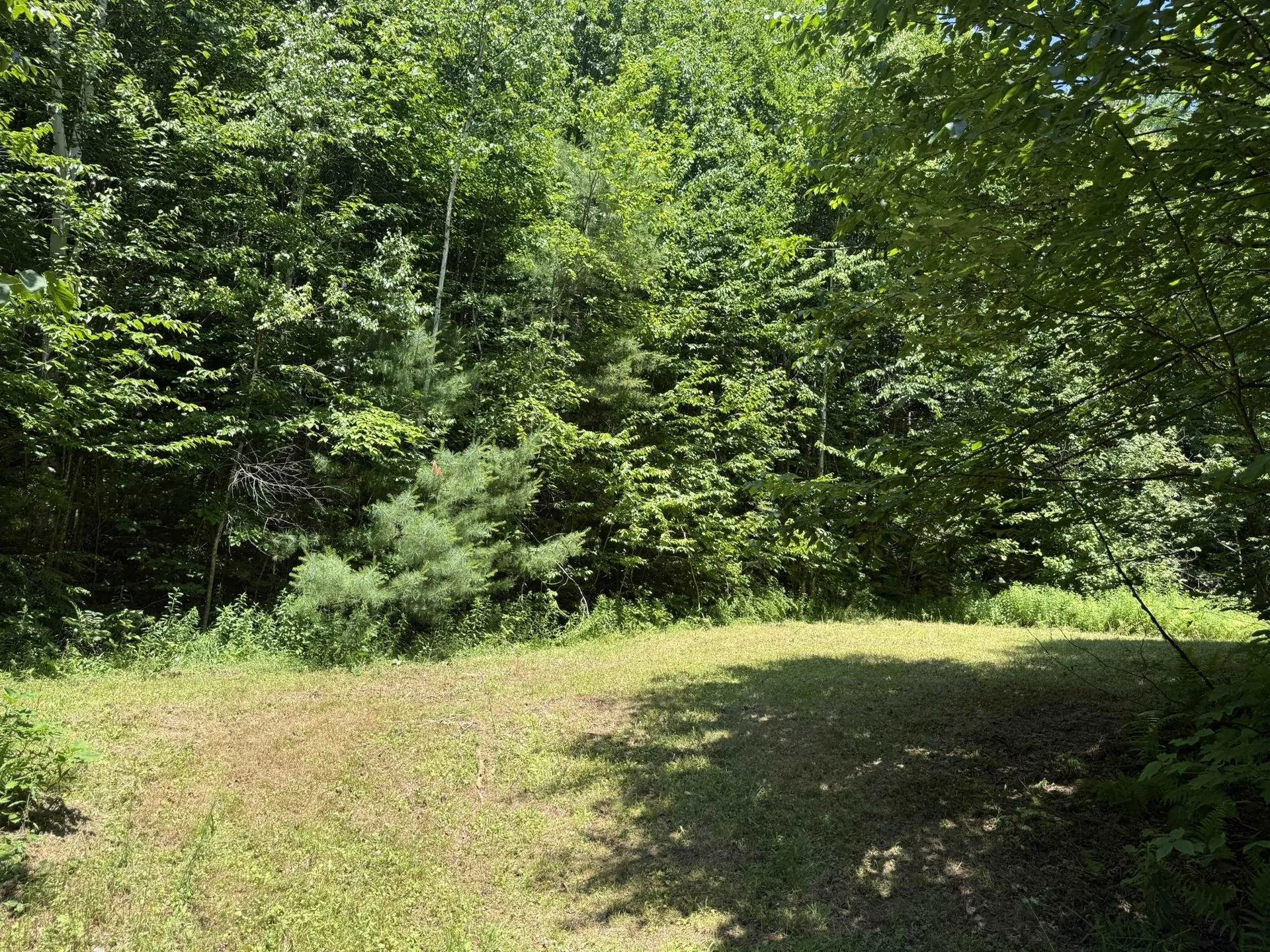 7657 Vt Route 14 Woodbury VT 05681