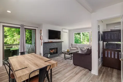109 Mountainside Drive Stowe VT 05672