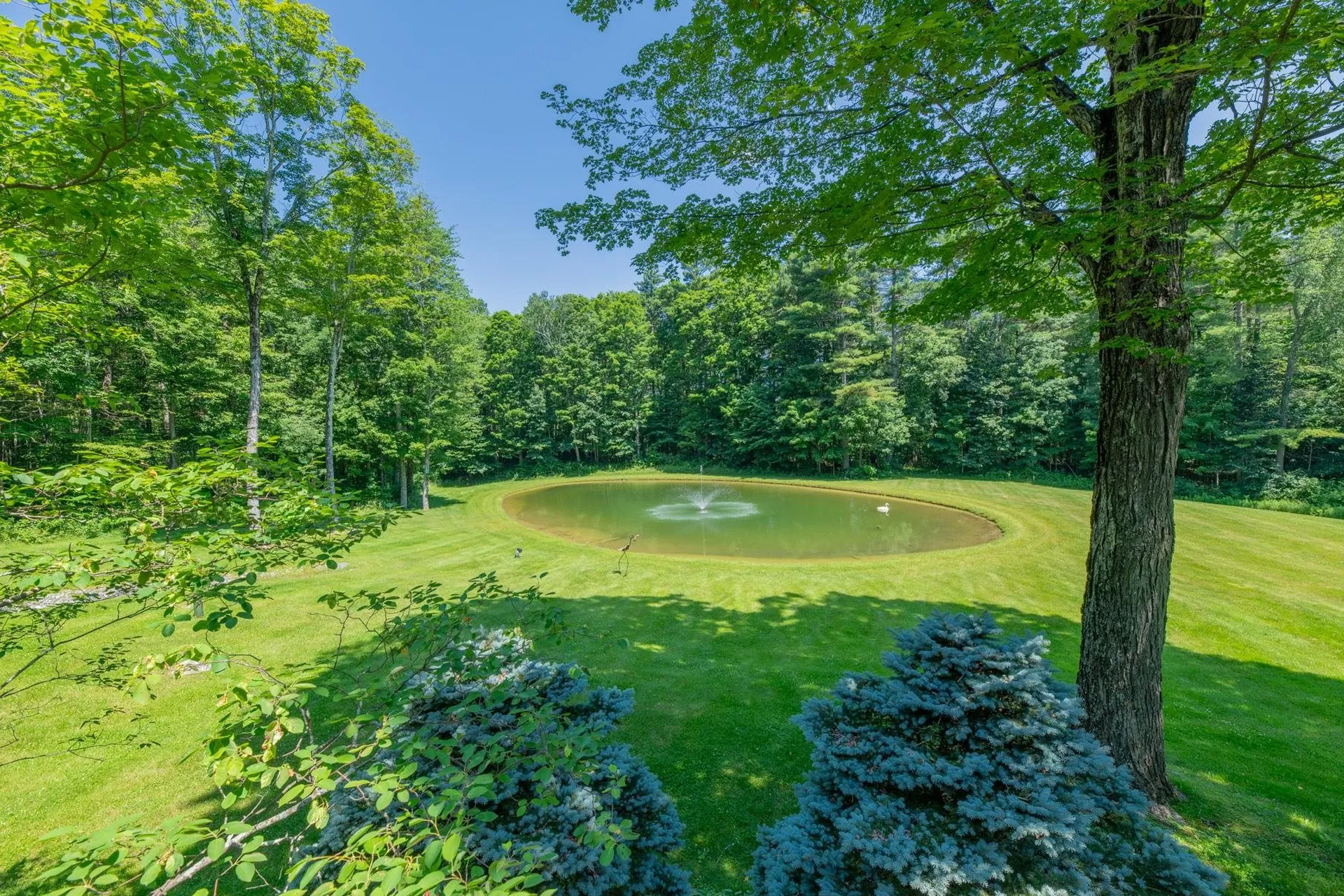 84 Frost Pond Road Dorset VT 05251