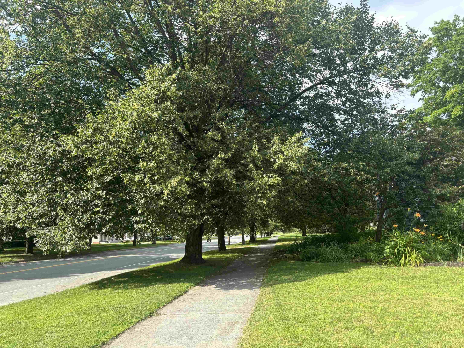 38 Clarks Avenue St. Johnsbury VT 05819
