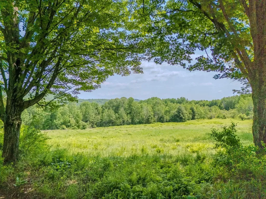 442 Josh Road Halifax VT 05358