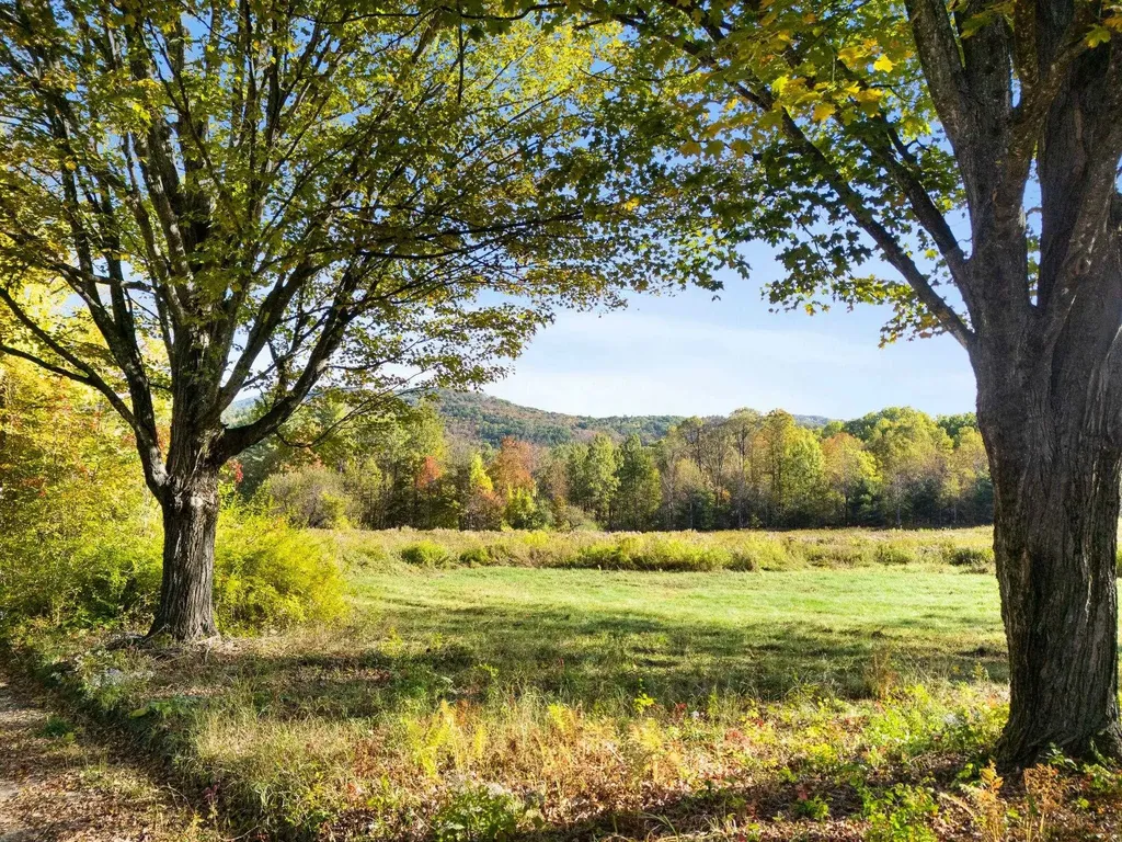 442 Josh Road Halifax VT 05358