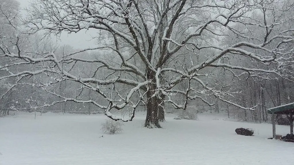 442 Josh Road Halifax VT 05358