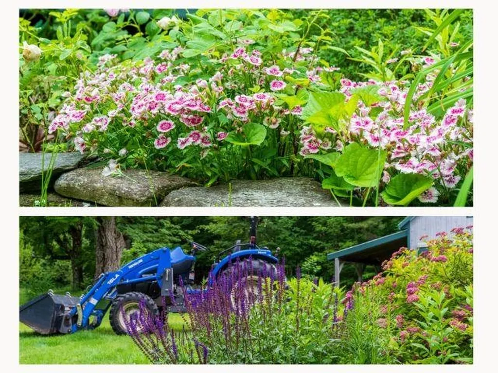 442 Josh Road Halifax VT 05358