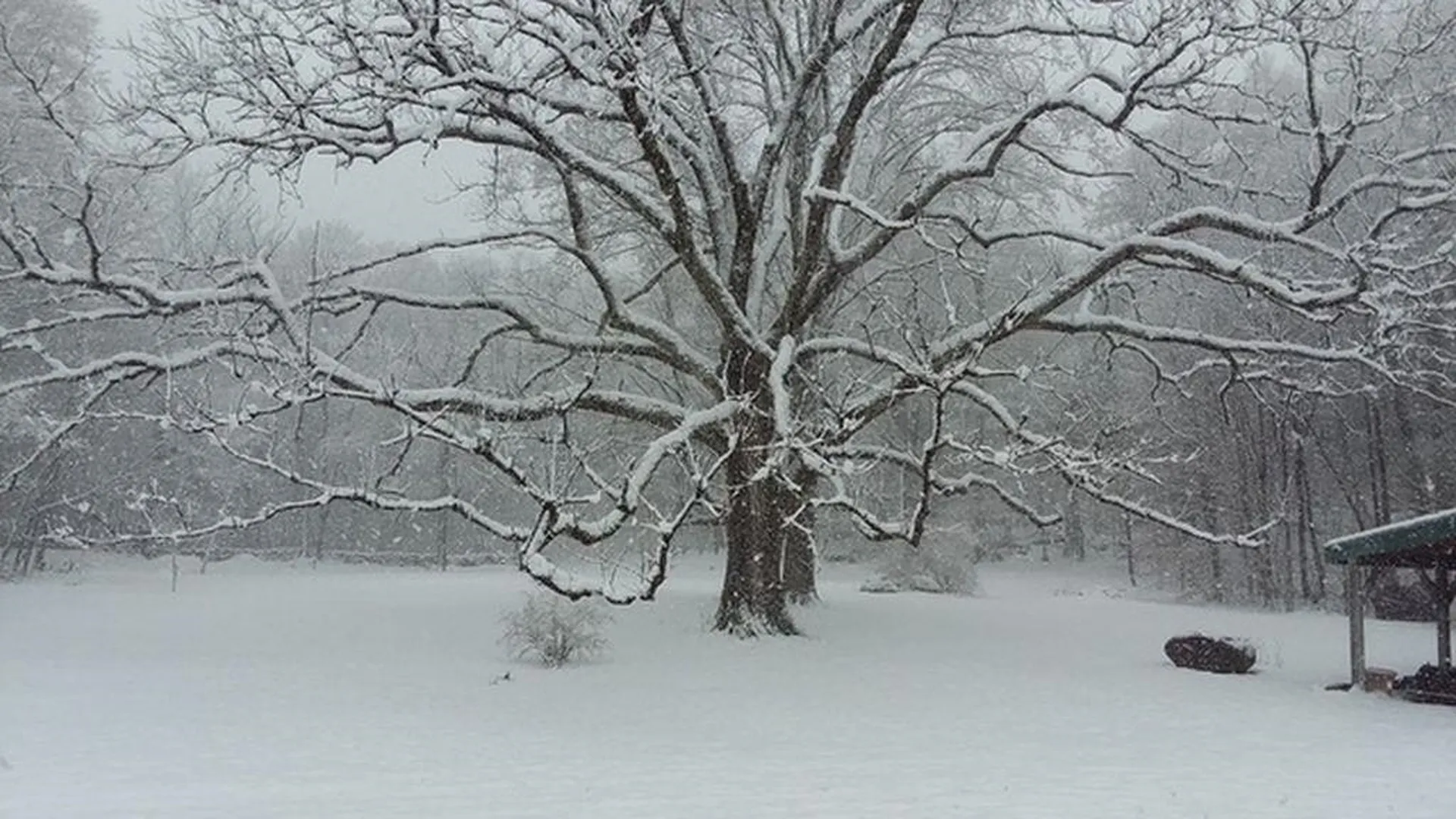 442 Josh Road Halifax VT 05358