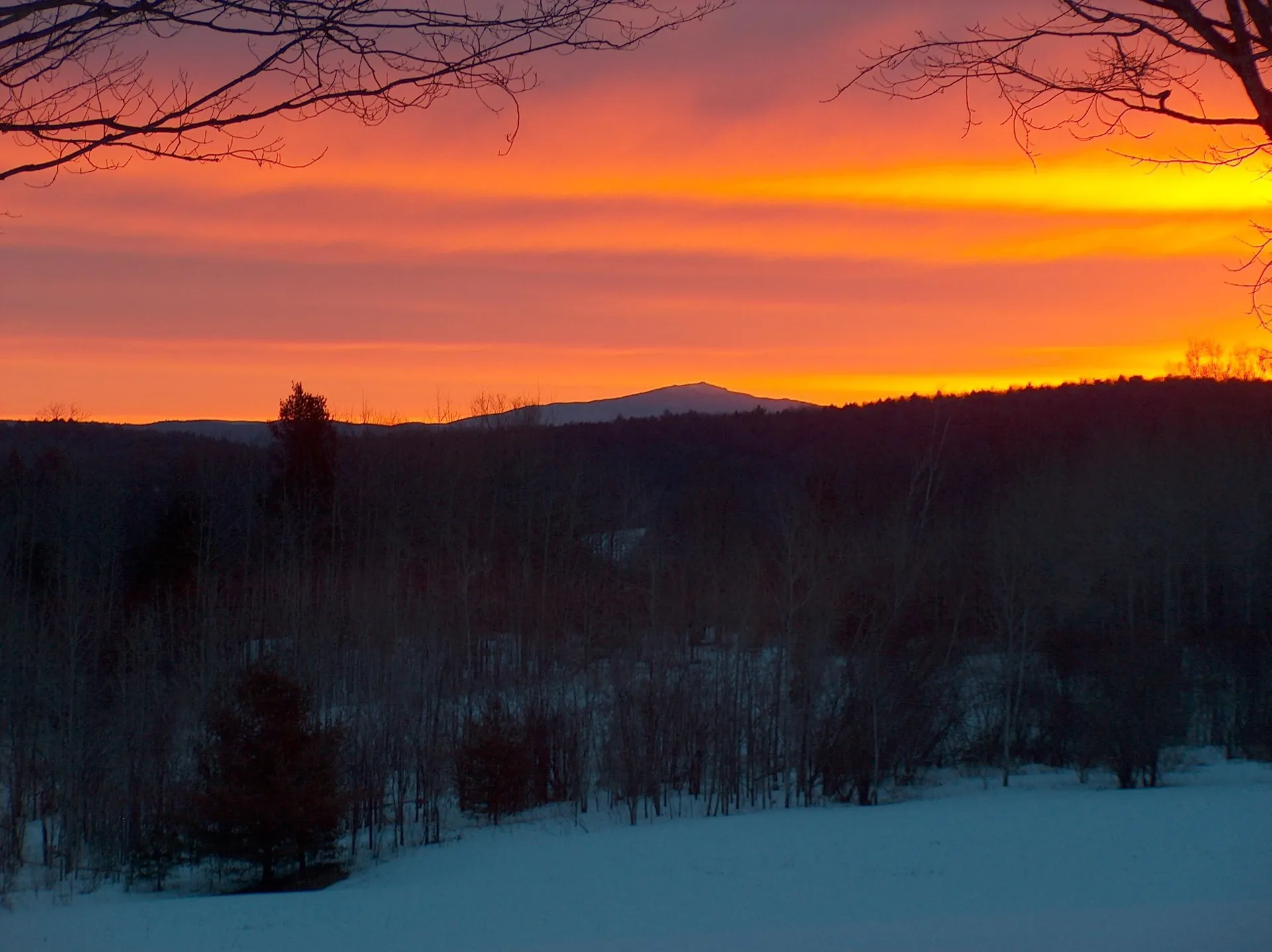 442 Josh Road Halifax VT 05358