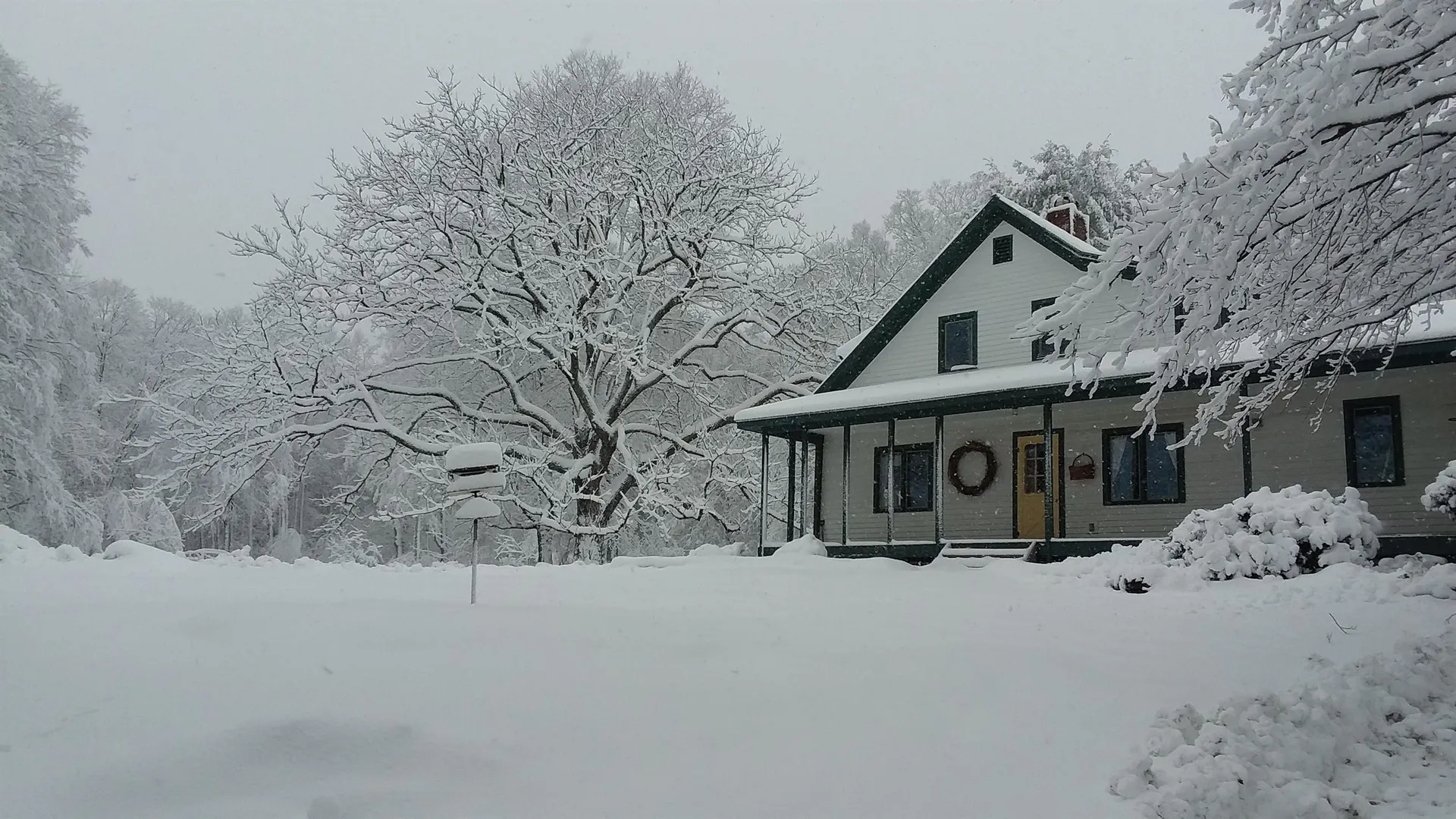442 Josh Road Halifax VT 05358