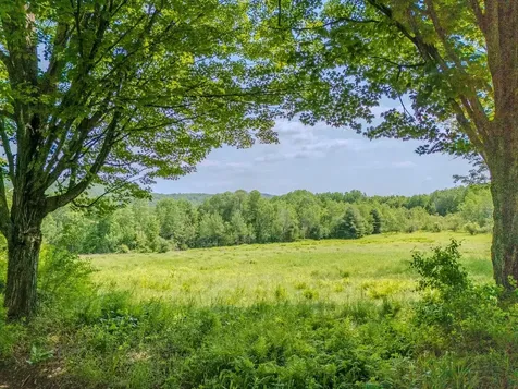 442 Josh Road Halifax VT 05358