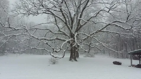 442 Josh Road Halifax VT 05358