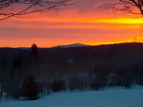 442 Josh Road Halifax VT 05358