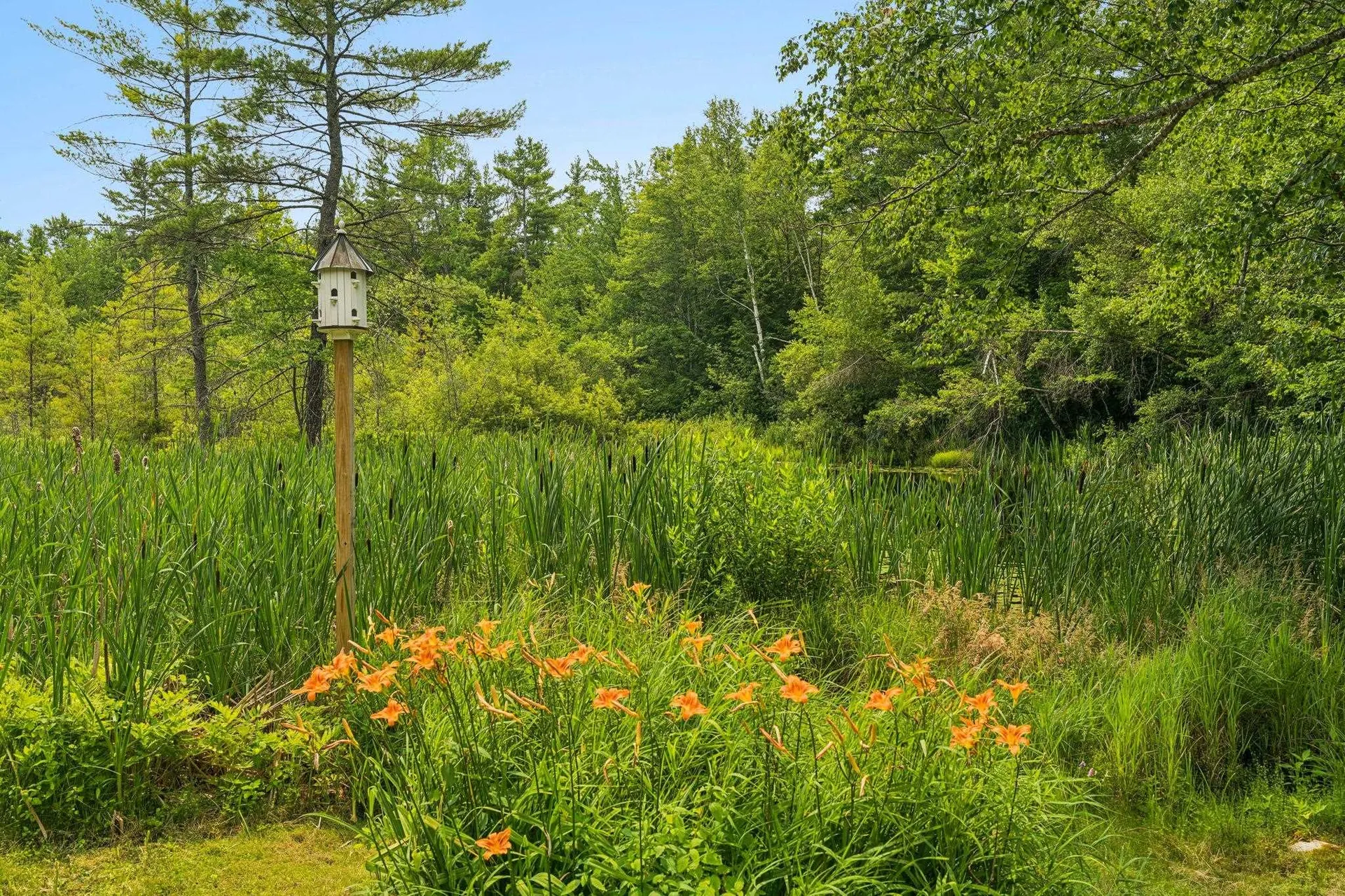 105 East Mountain Road Newport NH 03773