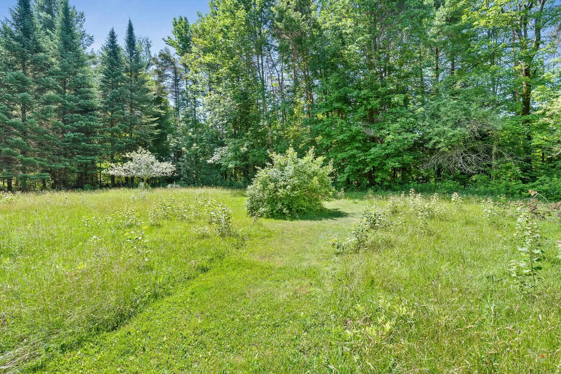 955 Scott Hill Road Berlin VT 05641