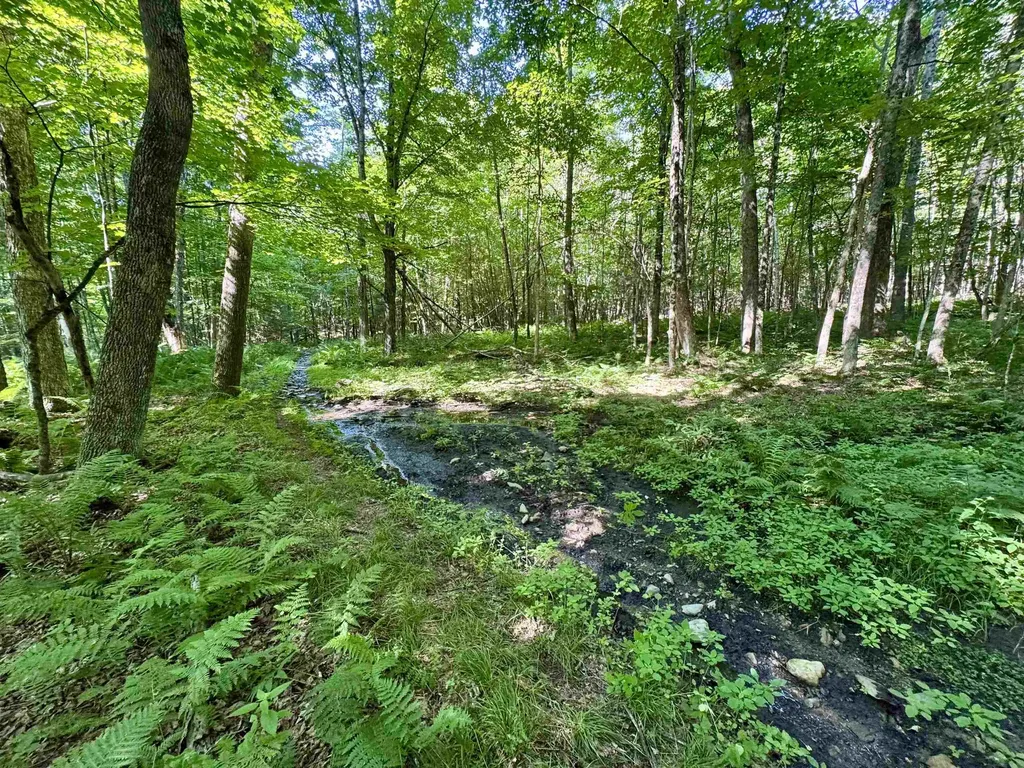 00 Mountain Road Bath NH 03740