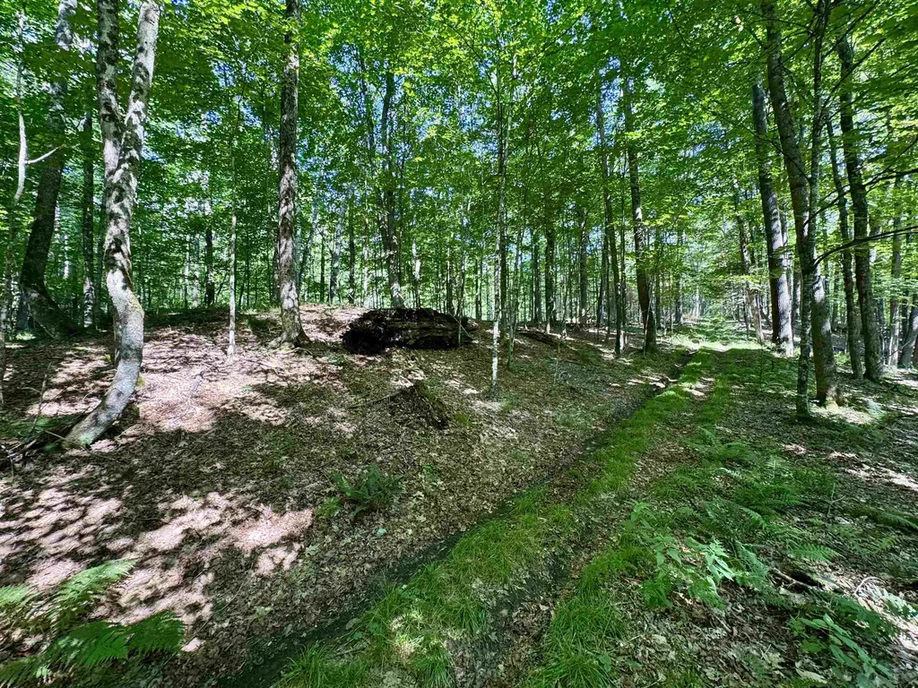 00 Mountain Road Bath NH 03740