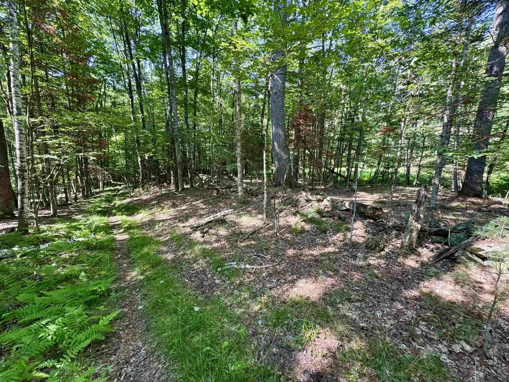 00 Mountain Road Bath NH 03740