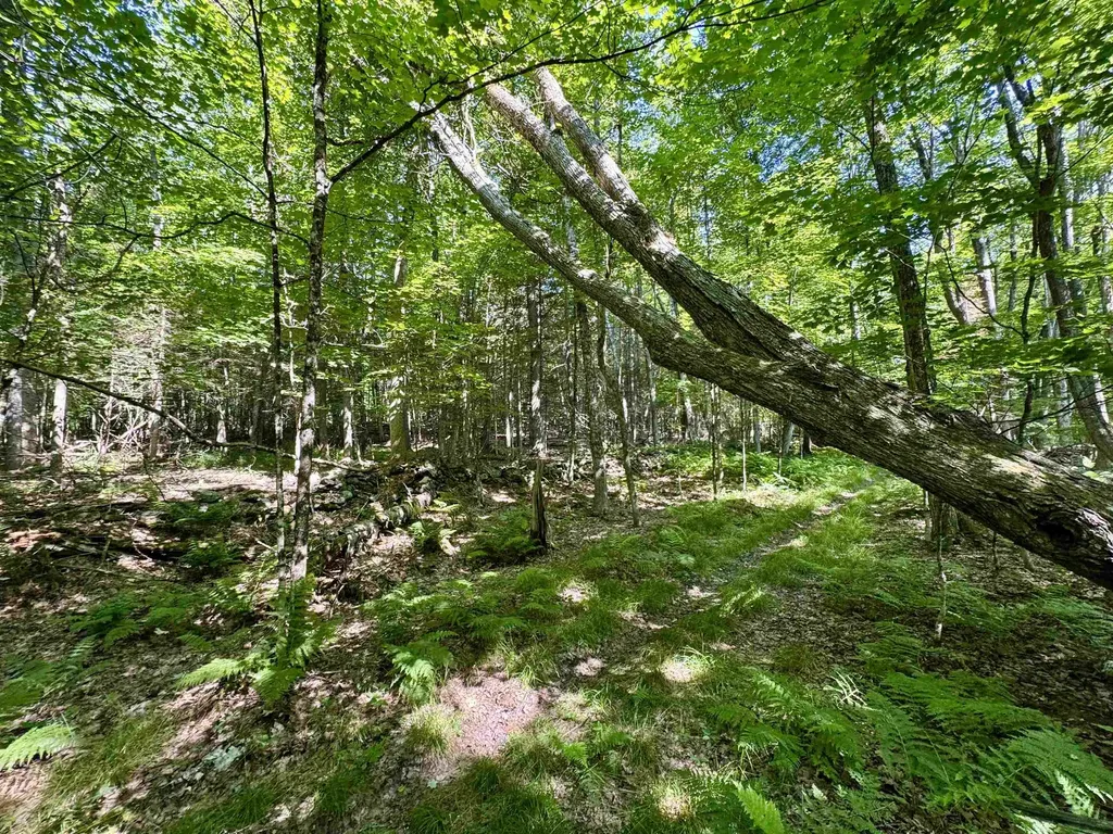 00 Mountain Road Bath NH 03740