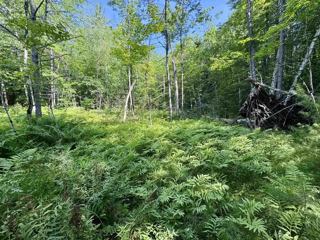 00 Mountain Road Bath NH 03740