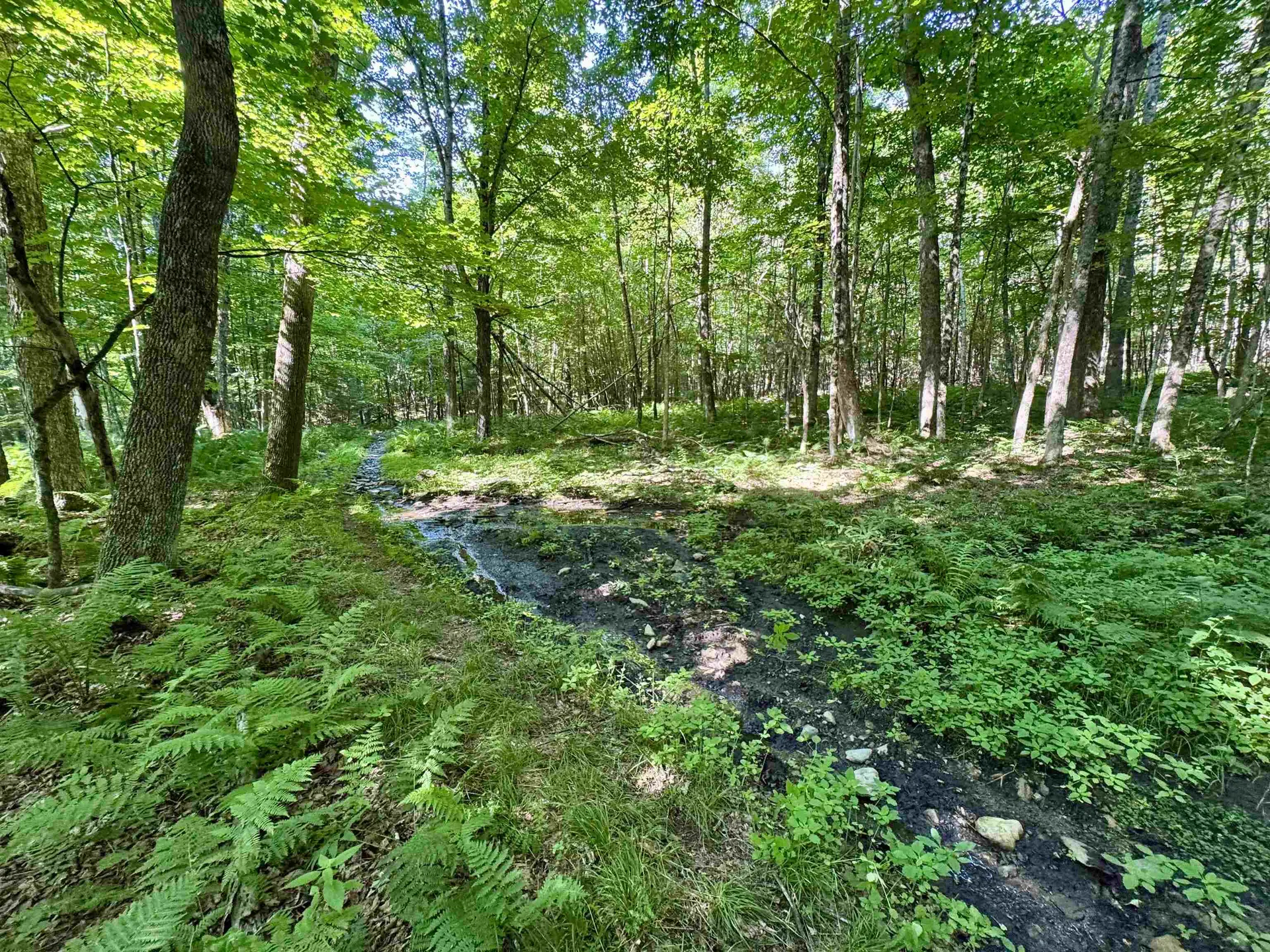 00 Mountain Road Bath NH 03740