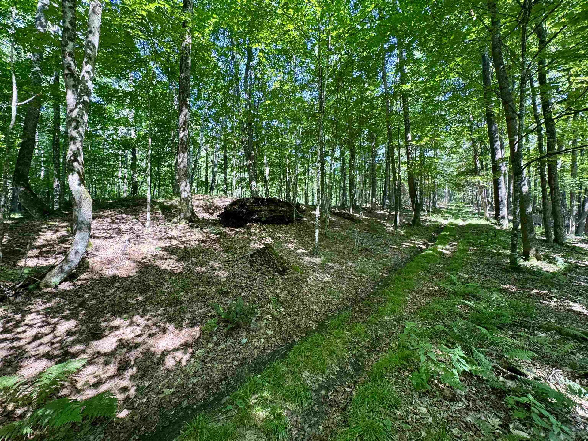 00 Mountain Road Bath NH 03740