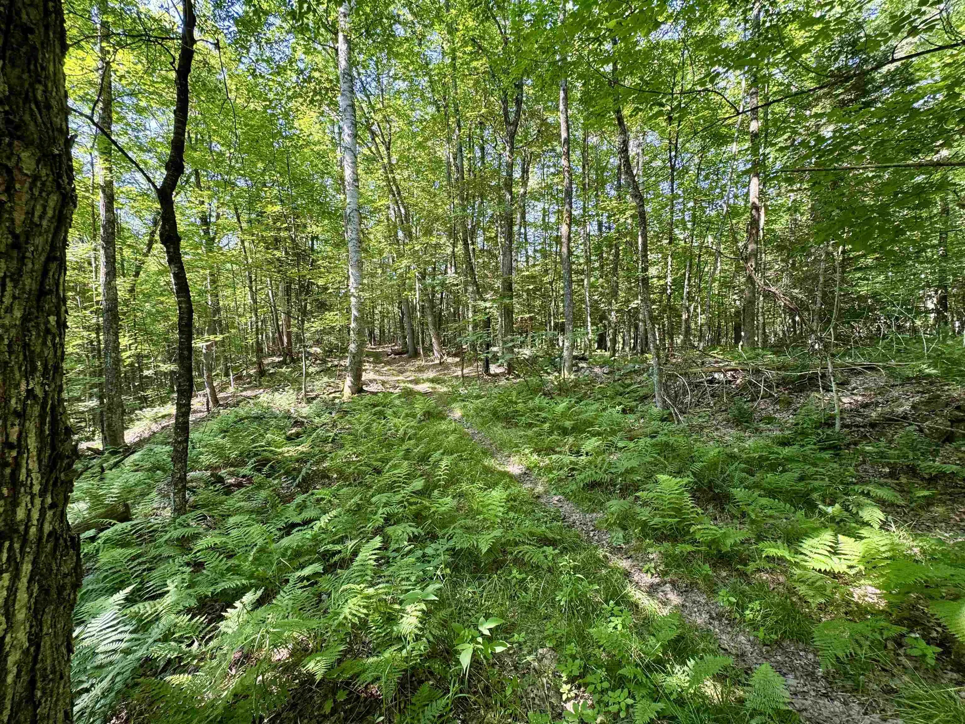 00 Mountain Road Bath NH 03740