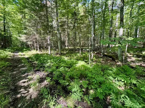 00 Mountain Road Bath NH 03740