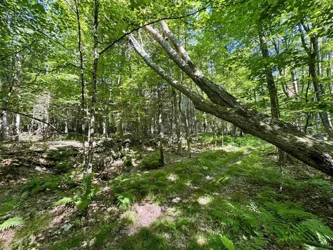 00 Mountain Road Bath NH 03740