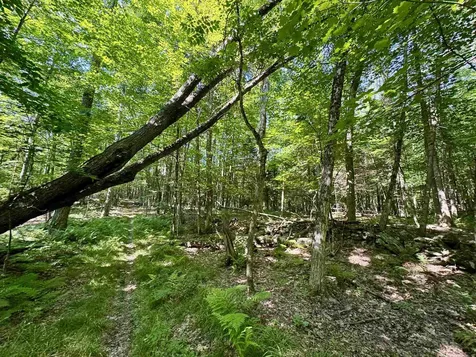 00 Mountain Road Bath NH 03740