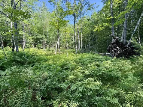 00 Mountain Road Bath NH 03740
