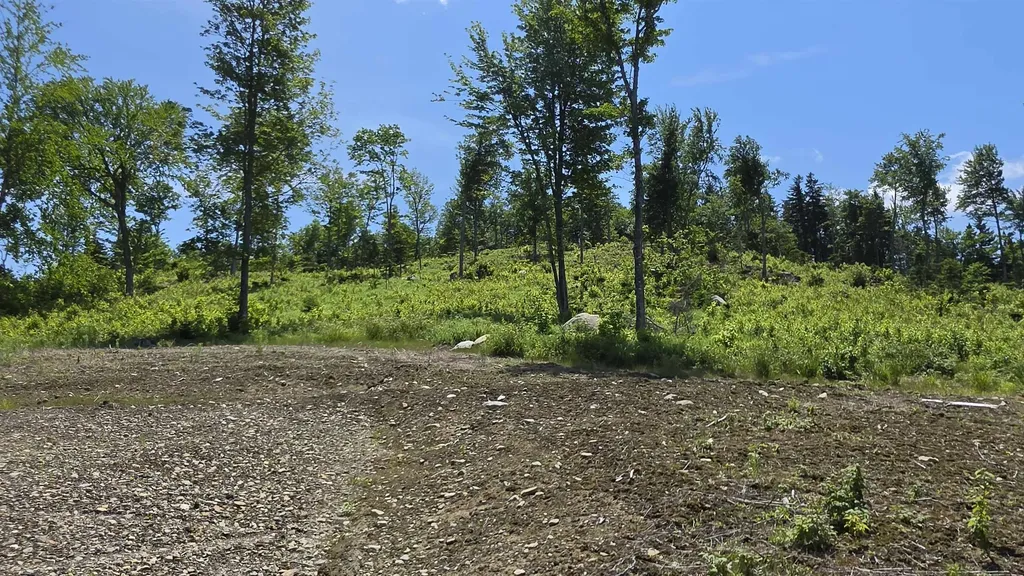 Map R6 Lot 1c Deer Crossing Way Errol NH 03579
