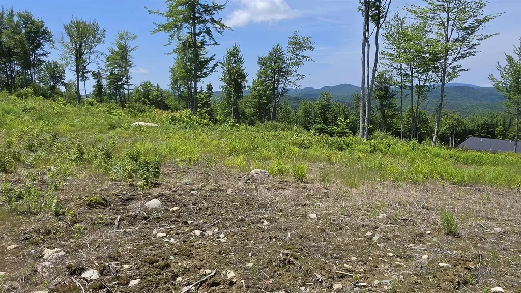 Map R6 Lot 1c Deer Crossing Way Errol NH 03579