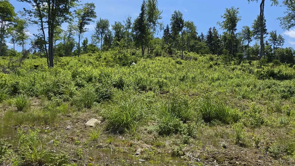 Map R6 Lot 1c Deer Crossing Way Errol NH 03579